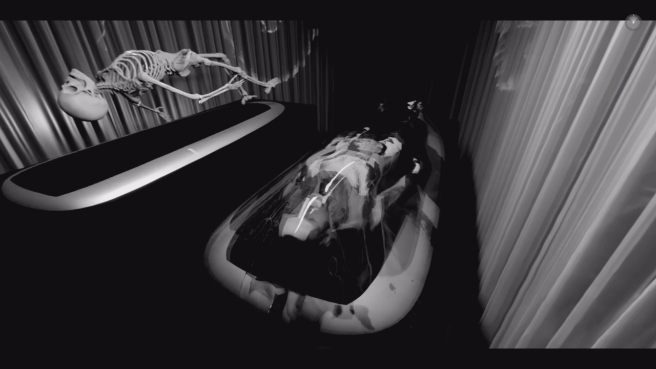 They Dream in My Bones - Insemnopedy II