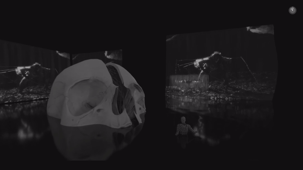 They Dream in My Bones - Insemnopedy II