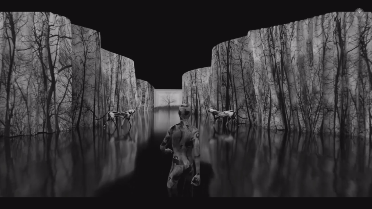 They Dream in My Bones - Insemnopedy II