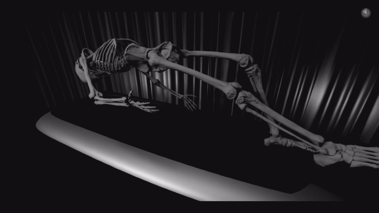 They Dream in My Bones - Insemnopedy II
