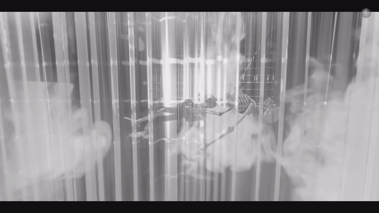 They Dream in My Bones - Insemnopedy II