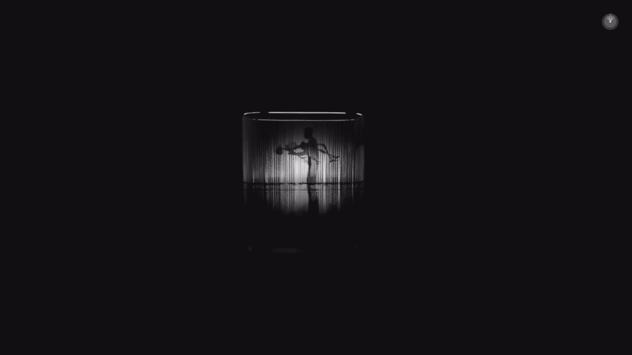 They Dream in My Bones - Insemnopedy II